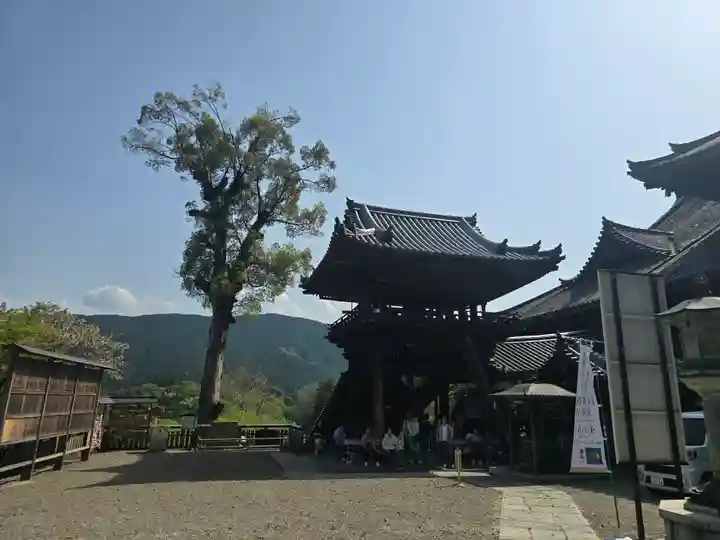 長谷寺(奈良県)