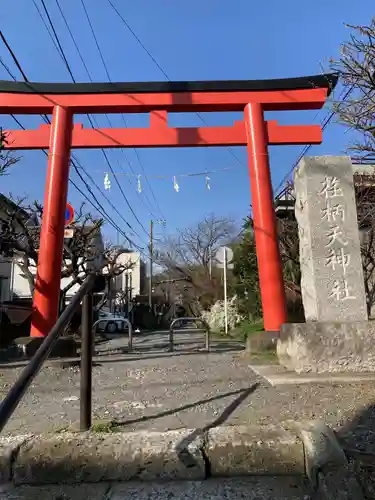 荏柄天神社の鳥居