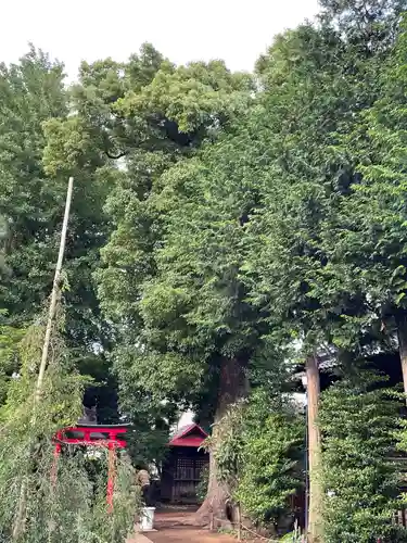 東玉川神社の自然