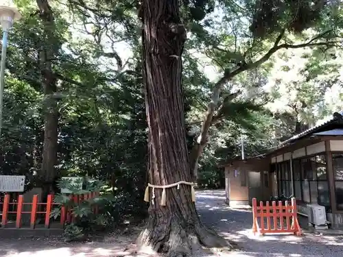 息栖神社(茨城県)
