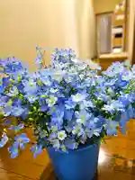 美幌神社(北海道)