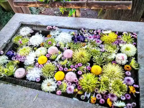 糀谷八幡宮の手水舎