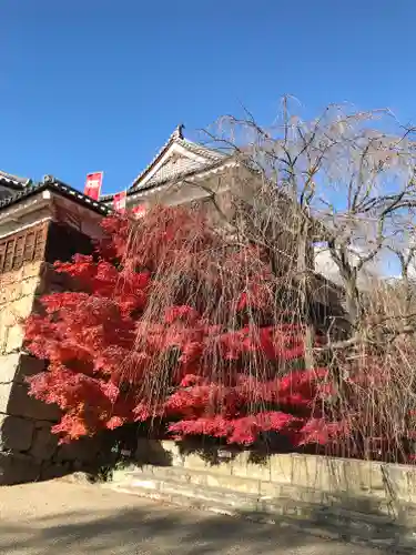 眞田神社の庭園