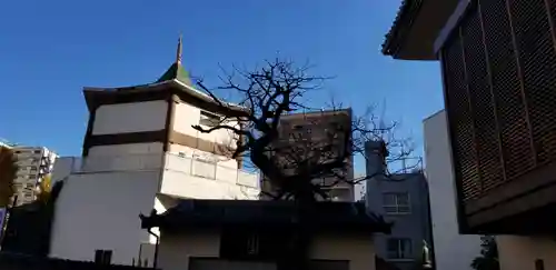 真源寺（入谷鬼子母神）のその他建物