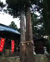 高司神社〜むすびの神の鎮まる社〜の自然