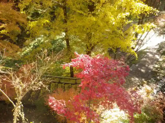 建長寺 半僧坊の自然