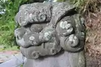 阿久津「田村神社」(郡山市阿久津町)旧社名:伊豆箱根三嶋三社の狛犬