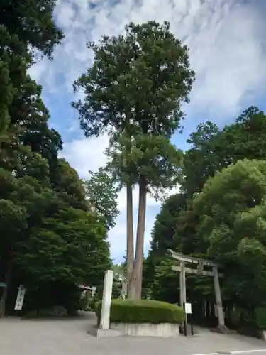 白鷺神社(栃木県)