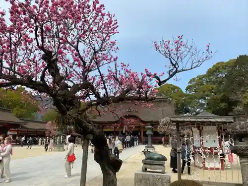 太宰府天満宮の建物その他