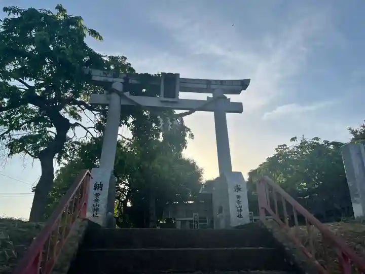 黄金山神社の{uncategorized: "未分類", other: "その他", undefined: "問題あり", building: "その他建物", grave: "お墓", sacred_gate: "鳥居", guardian: "狛犬", statue: "像", buddha: "仏像", history: "歴史", nature: "自然", garden: "庭園", animal: "動物", pagoda: "塔", temizu: "手水舎", mountain_gate: "山門・神門", sanctuary: "本殿・本堂", subordinate: "末社・摂社", art: "芸術", scenery: "景色", jizo: "地蔵", ema: "絵馬", goshuin: "御朱印", omikuji: "おみくじ", items: "授与品その他", amulet: "お守り", goshuincho: "御朱印帳", eats: "食事", festival: "お祭り", votive_dance: "神楽", shichigosan: "七五三参", wedding: "結婚式", experience: "体験その他", initially: "初詣", around: "周辺", anti_infection: "感染症対策"}