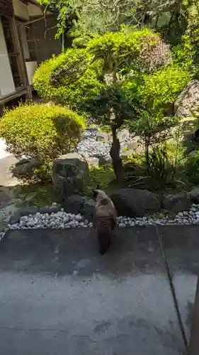 善性院(京都府)