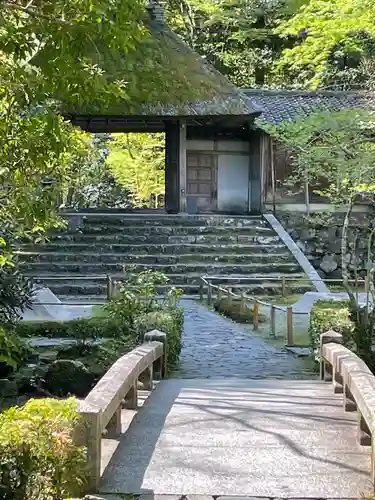 法然院の山門