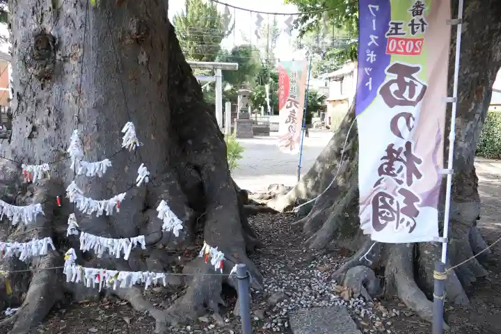 八枝神社(埼玉県)