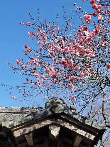陽林寺(福島県)