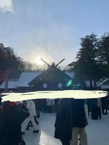 北海道神宮の初詣