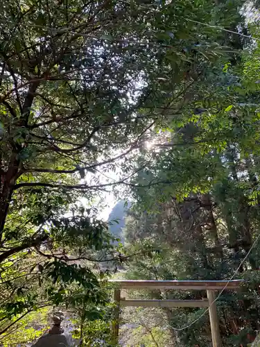 山口大神宮の鳥居