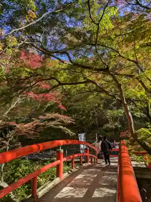 湯元 隻腕不動尊(伊香保温泉)の景色
