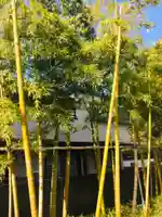 阿佐ヶ谷神明宮の自然