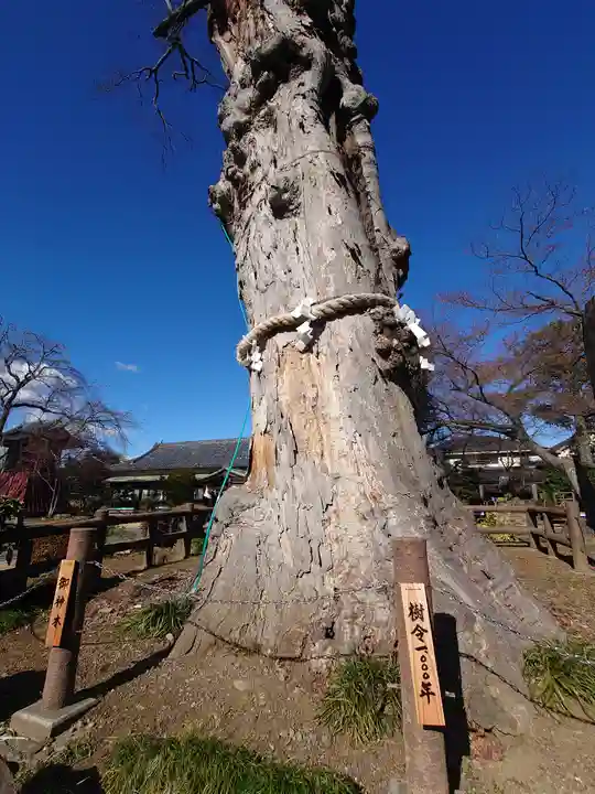 廣瀬神社(埼玉県)