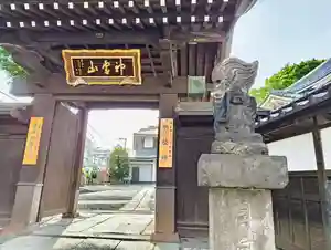金乗院(目白不動尊)の山門・神門