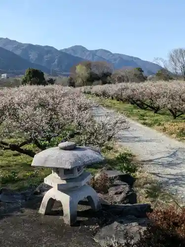 神明神社の{uncategorized: "未分類", other: "その他", undefined: "問題あり", building: "その他建物", grave: "お墓", sacred_gate: "鳥居", guardian: "狛犬", statue: "像", buddha: "仏像", history: "歴史", nature: "自然", garden: "庭園", animal: "動物", pagoda: "塔", temizu: "手水舎", mountain_gate: "山門・神門", sanctuary: "本殿・本堂", subordinate: "末社・摂社", art: "芸術", scenery: "景色", jizo: "地蔵", ema: "絵馬", goshuin: "御朱印", omikuji: "おみくじ", items: "授与品その他", amulet: "お守り", goshuincho: "御朱印帳", eats: "食事", festival: "お祭り", votive_dance: "神楽", shichigosan: "七五三参", wedding: "結婚式", experience: "体験その他", initially: "初詣", around: "周辺", anti_infection: "感染症対策"}