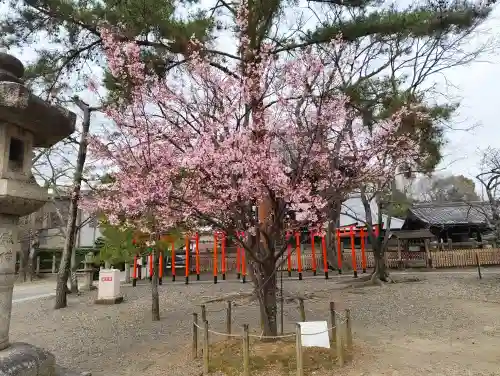 豊国神社の{uncategorized: "未分類", other: "その他", undefined: "問題あり", building: "その他建物", grave: "お墓", sacred_gate: "鳥居", guardian: "狛犬", statue: "像", buddha: "仏像", history: "歴史", nature: "自然", garden: "庭園", animal: "動物", pagoda: "塔", temizu: "手水舎", mountain_gate: "山門・神門", sanctuary: "本殿・本堂", subordinate: "末社・摂社", art: "芸術", scenery: "景色", jizo: "地蔵", ema: "絵馬", goshuin: "御朱印", omikuji: "おみくじ", items: "授与品その他", amulet: "お守り", goshuincho: "御朱印帳", eats: "食事", festival: "お祭り", votive_dance: "神楽", shichigosan: "七五三参", wedding: "結婚式", experience: "体験その他", initially: "初詣", around: "周辺", anti_infection: "感染症対策"}