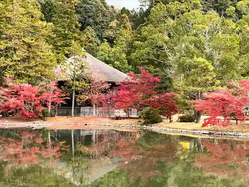 白水阿弥陀堂の庭園