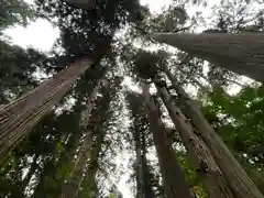 戸隠神社宝光社の自然