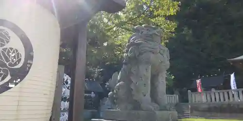 毛谷黒龍神社(福井県)
