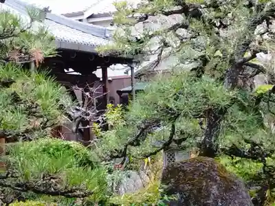 西覚寺(大阪府)