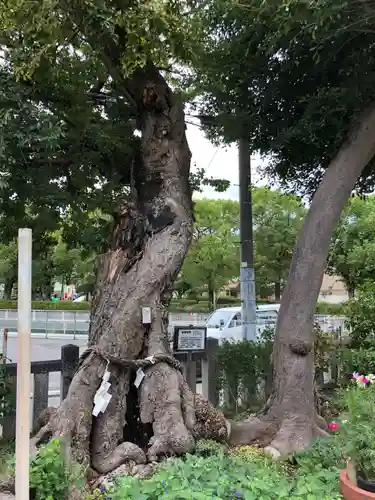 水堂須佐男神社の庭園