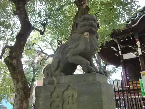 矢口氷川神社の狛犬