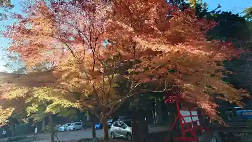 鳥取東照宮（旧樗谿神社）(鳥取県)