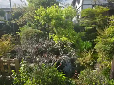 本妙寺(京都府)