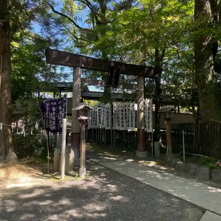 白金龍王社の{uncategorized: "未分類", other: "その他", undefined: "問題あり", building: "その他建物", grave: "お墓", sacred_gate: "鳥居", guardian: "狛犬", statue: "像", buddha: "仏像", history: "歴史", nature: "自然", garden: "庭園", animal: "動物", pagoda: "塔", temizu: "手水舎", mountain_gate: "山門・神門", sanctuary: "本殿・本堂", subordinate: "末社・摂社", art: "芸術", scenery: "景色", jizo: "地蔵", ema: "絵馬", goshuin: "御朱印", omikuji: "おみくじ", items: "授与品その他", amulet: "お守り", goshuincho: "御朱印帳", eats: "食事", festival: "お祭り", votive_dance: "神楽", shichigosan: "七五三参", wedding: "結婚式", experience: "体験その他", initially: "初詣", around: "周辺", anti_infection: "感染症対策"}