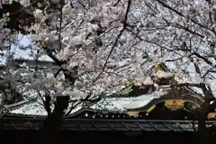 靖國神社の自然