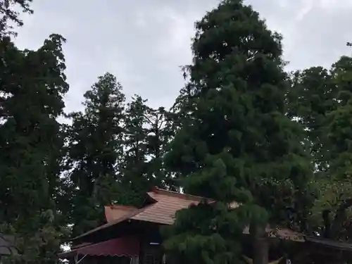 芳賀天満宮(栃木県)