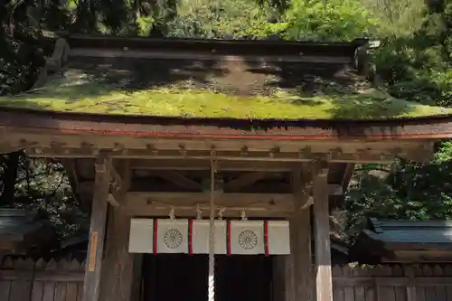 若狭姫神社（若狭彦神社下社）の本殿