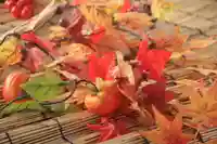 阿邪訶根神社の手水舎