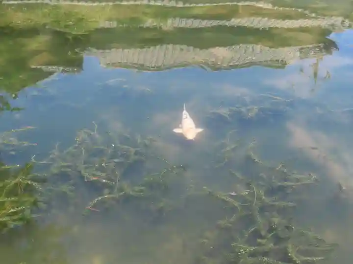 備中国總社(岡山県)