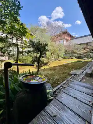 本法寺(京都府)