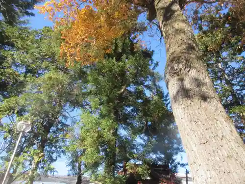 宗吾神社(山梨県)