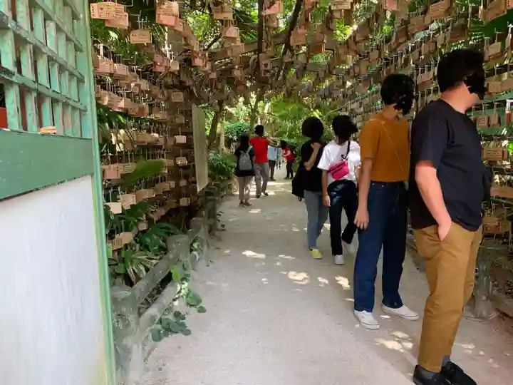 青島神社(青島神宮)の絵馬