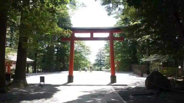 霧島神宮(鹿児島県)