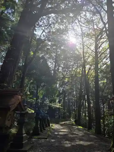 幣立神宮(熊本県)