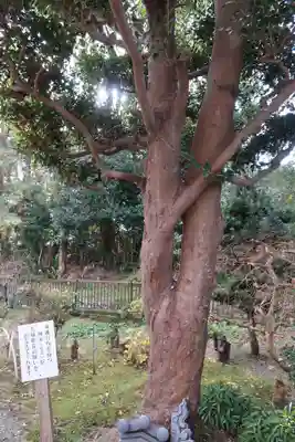 宝寿院(愛知県)