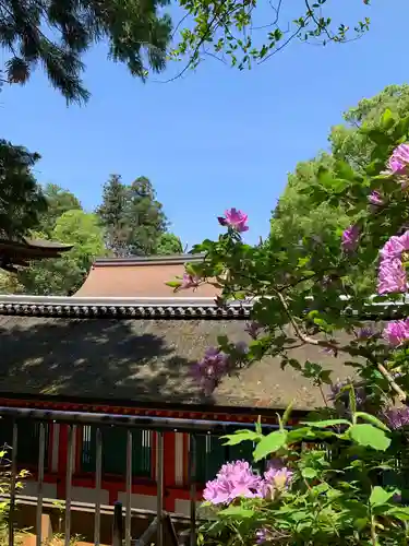 石上神宮の本殿・本堂