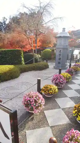 宝徳寺の庭園