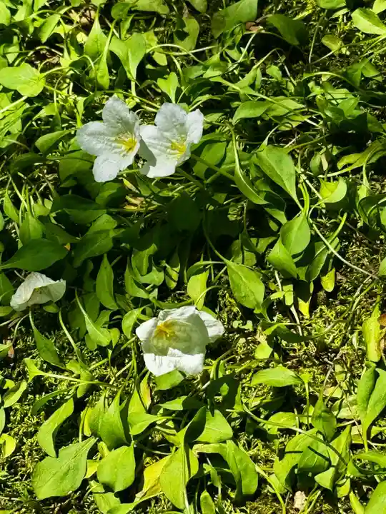 天球院(京都府)