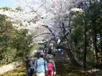 鎌田神明宮(静岡県)